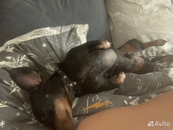 Вязка кабеля