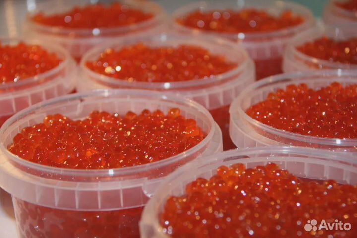 Том ям оптом