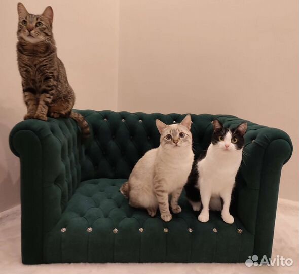 Диван/лежанка Честер изумрудный для животных