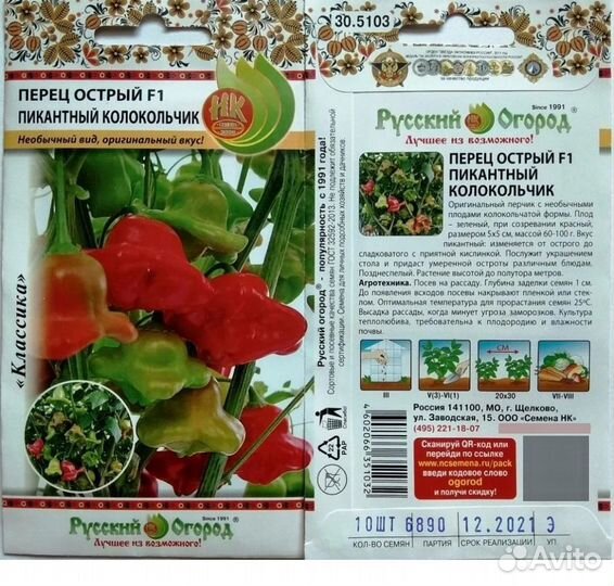 Рассада перца колокольчик