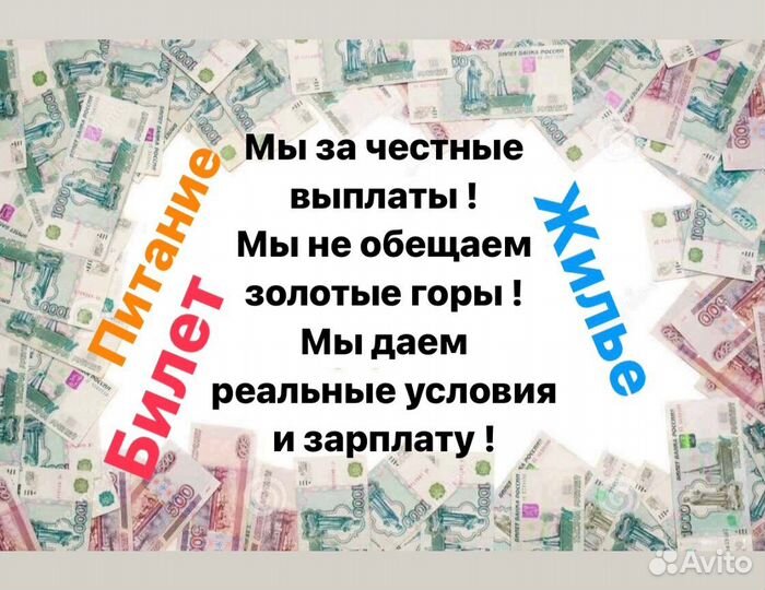 Комплектовщик на склад выплаты еженедельно