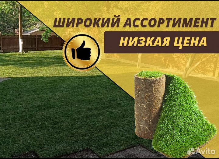 Рулонный газон Элитный под ключ
