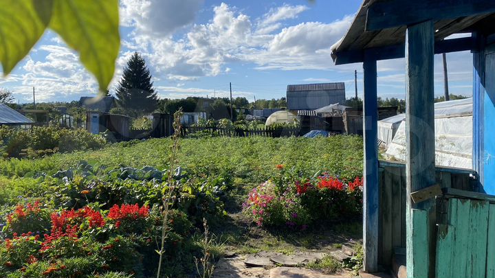 Дача 25 м² на участке 6 сот.