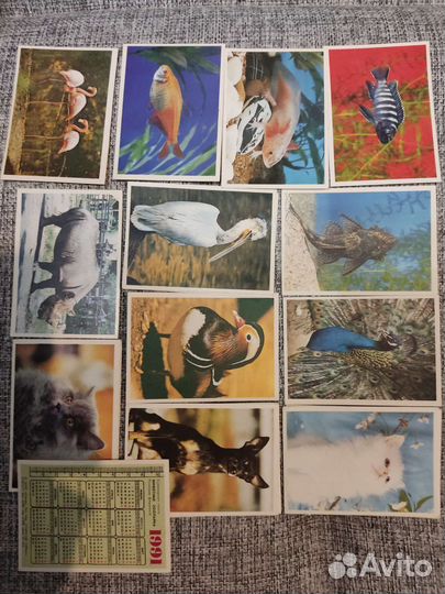 Календарики