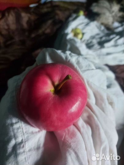 Яблоки домашние с собственного сада