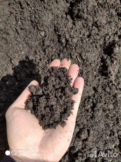 Чернозём Земля Плодородный грунт Вологда