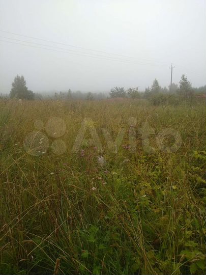 Участок 36 сот. (ИЖС)