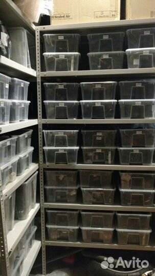 Тормозная помпа задняя Honda cbr1000rr