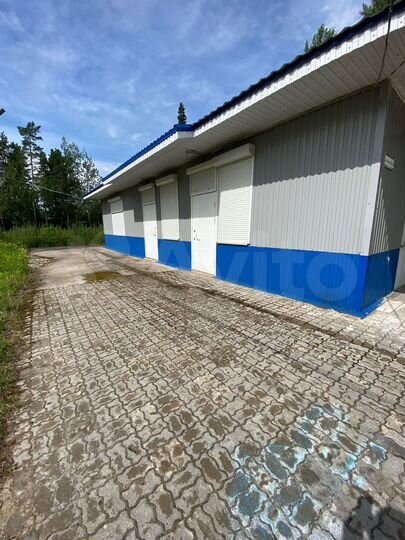 Нежилое помещение, 231.6 м²