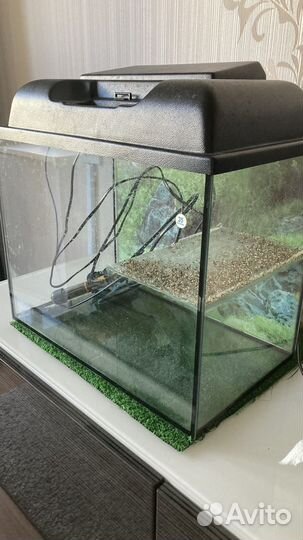 Аквариум для черепах большой