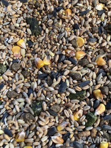 Домашняя мешанка для крыс