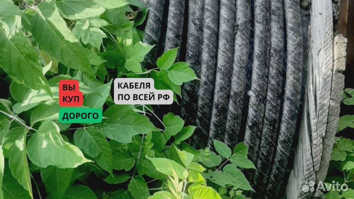 Кабель аввг