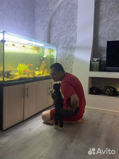 Шикарный авариум