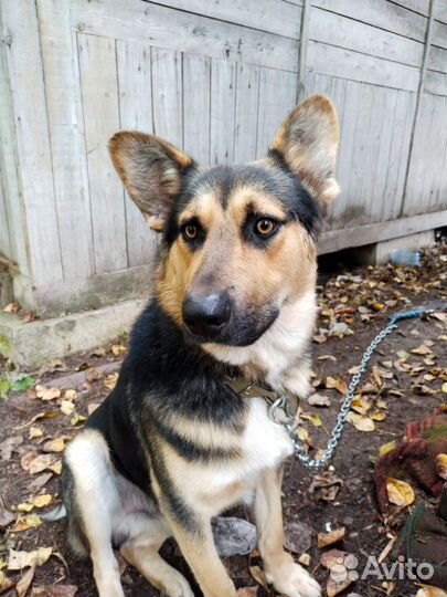 Мальчик - подросток