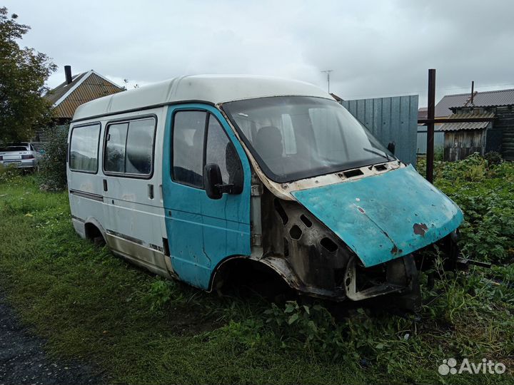 Газель соболь