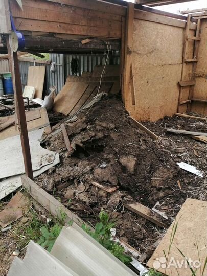 Голубиный помет