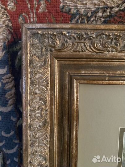 Акварель сова