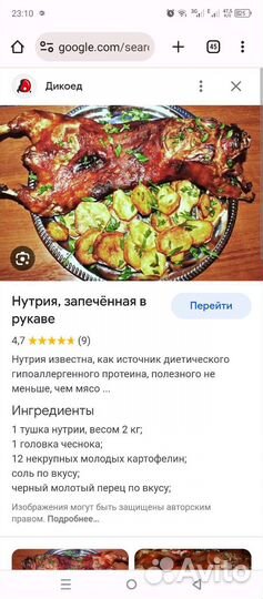 Мясо нутрии