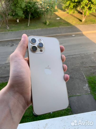iPhone 12 Pro Max, 256 ГБ