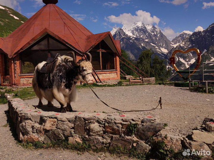 Экскурсии по Кавказу