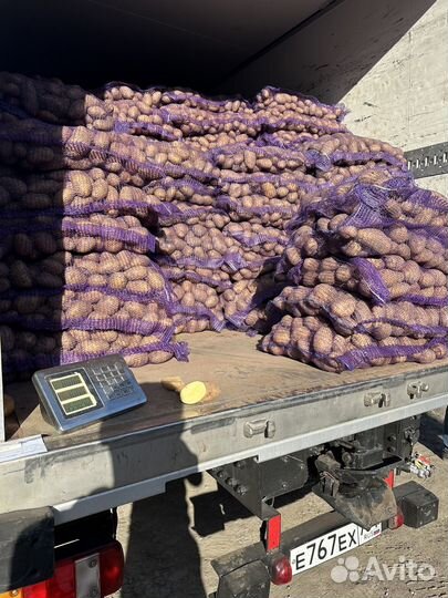 Продам картофель