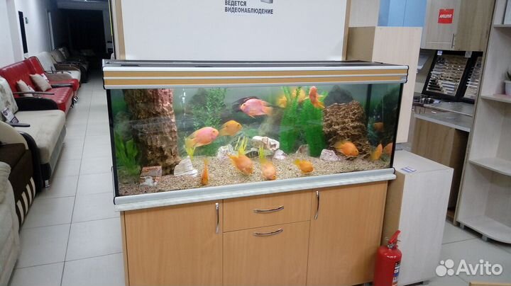 Обслуживание и чистка аквариумов