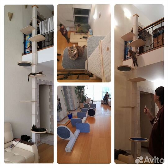 Когтеточка, когтедерка, комплекс, домик