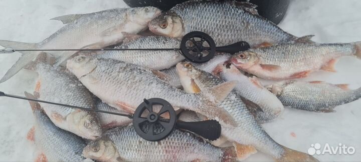 Зимние удочки для безмотыльной ловли