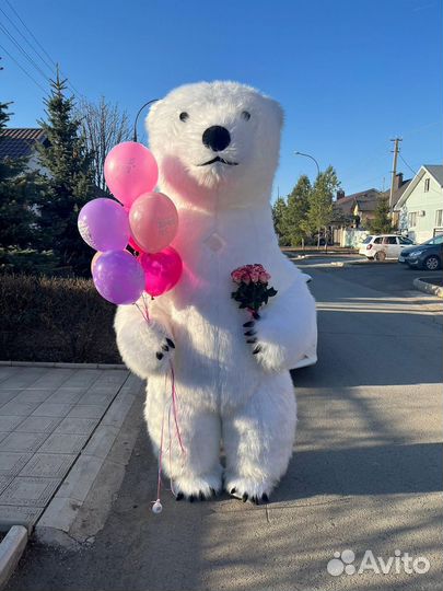 Белый мишка поздравление