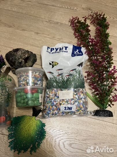 Грунт и растения для аквариума