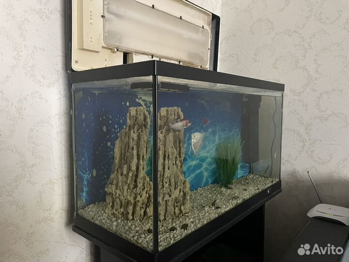 Аквариум с тумбой 180 литров
