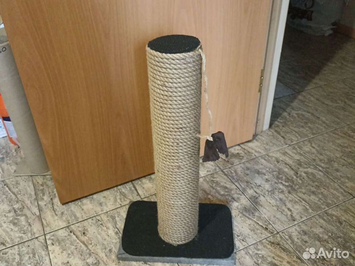 Когтеточки