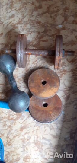 Гантели и турник