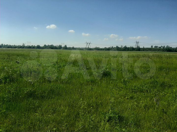 Участок 12,9 сот. (СНТ, ДНП)