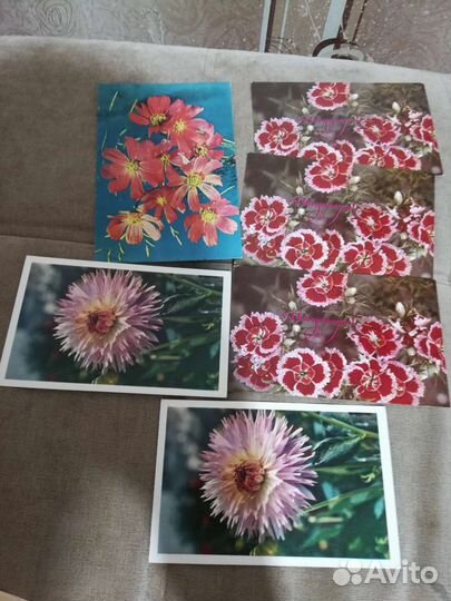 Открытки СССР