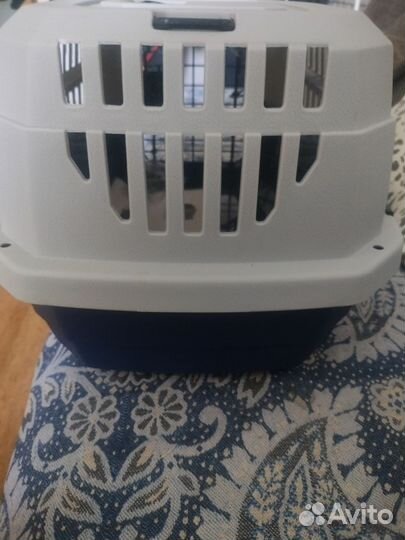 Переноска для собак мелких пород