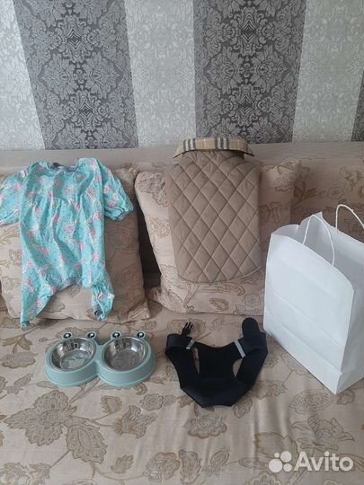 Собак новое