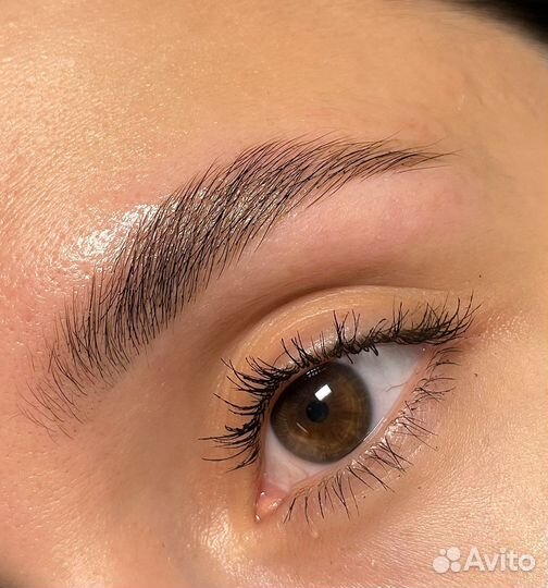 Модели на брови