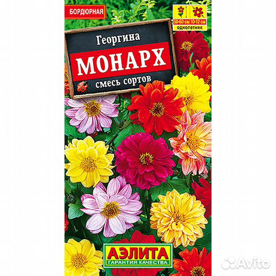 Георгина Монарх смесь окрасок