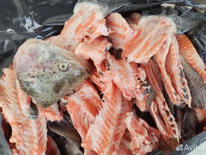 Мясо для животных