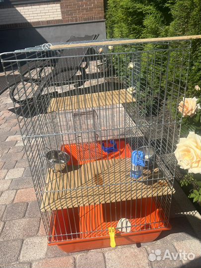 Клетка для грызунов