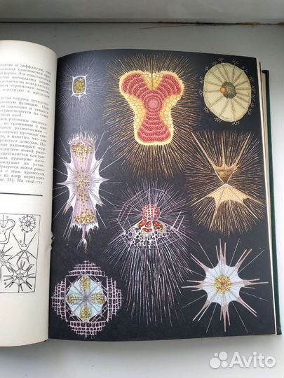 Л.А. Зенкевич Жизнь животных в 6 томах