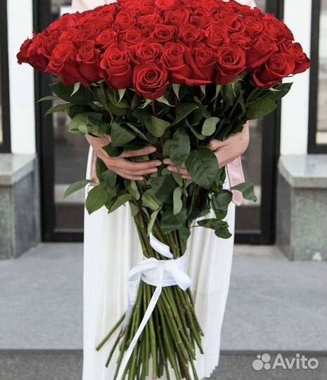 Розы Эквадор Метровые 100 см доставка Москва