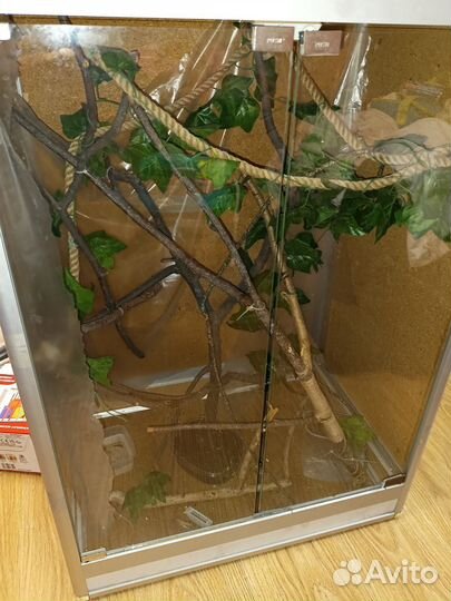 Террариум для рептилий большой