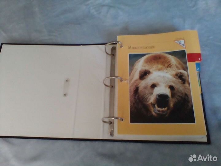 Энциклопедия перекидная