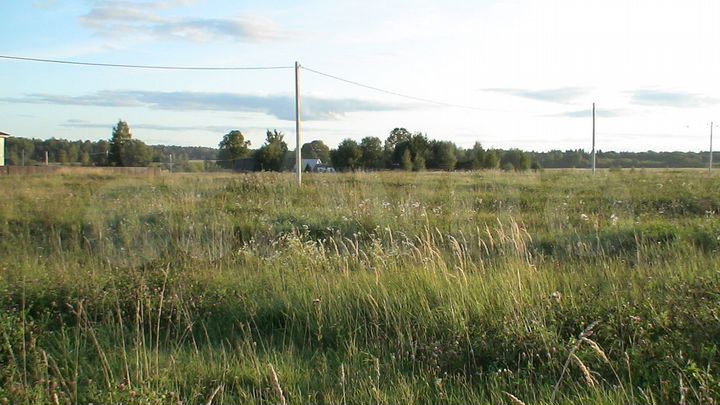 Участок 10 сот. (СНТ, ДНП)