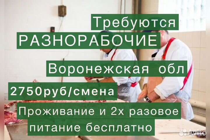 Вахта с 2х разовым питанием 2750р смена. Воронеж