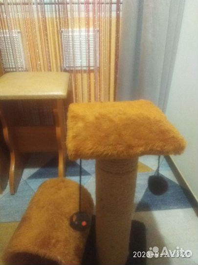 Когтеточка для кошек