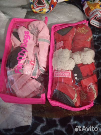 Вещи для маленьких собак
