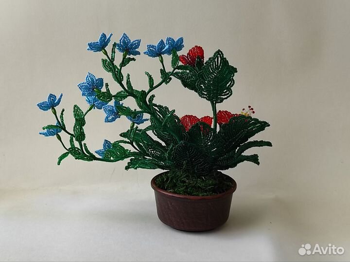 Тайная мечта